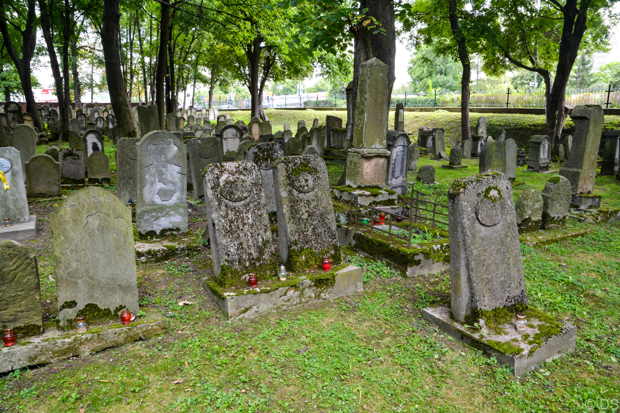 Cmentarz nr 201 - Tarnów