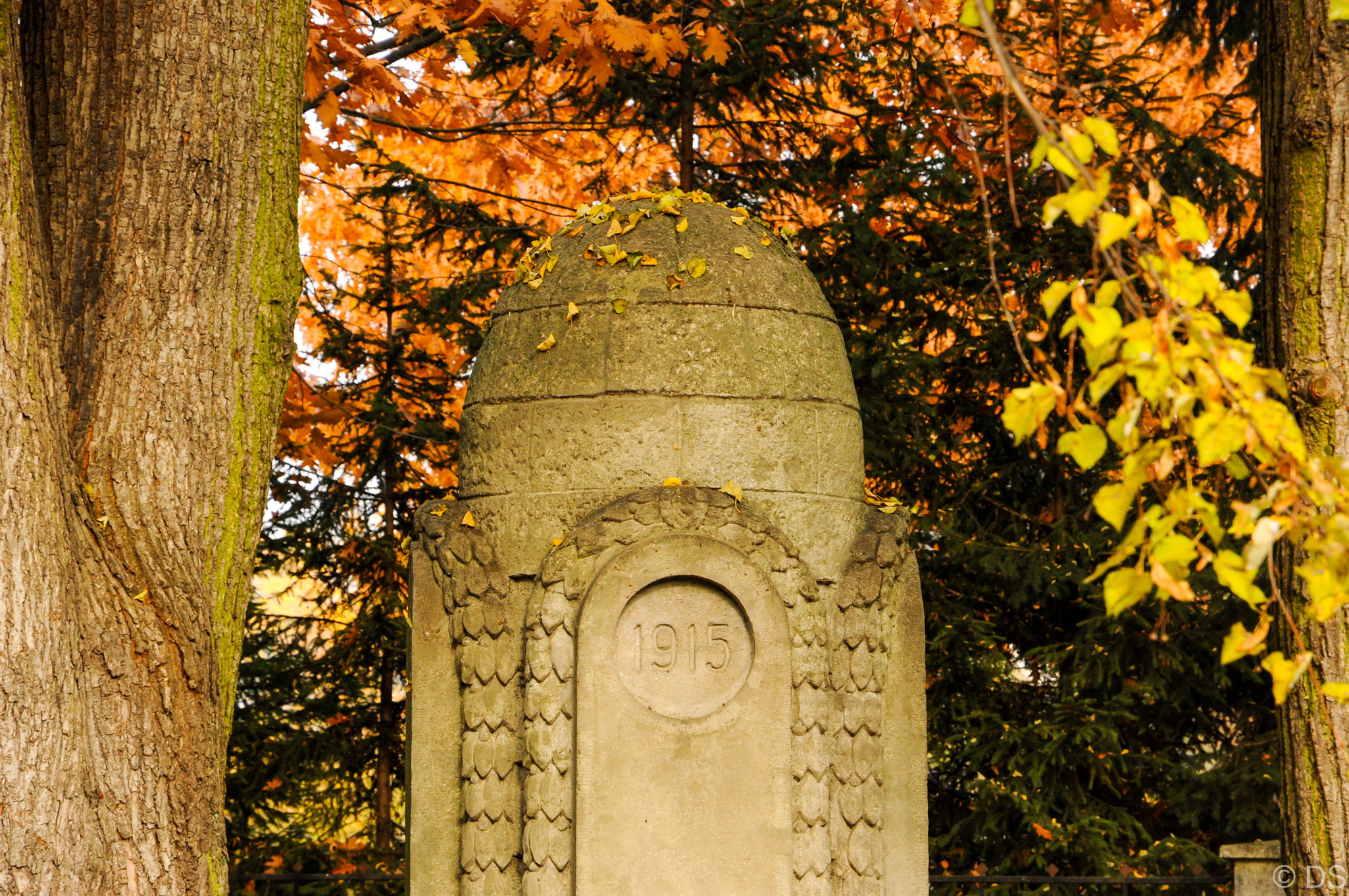 Cmentarz nr 215 - Wierzchosławice